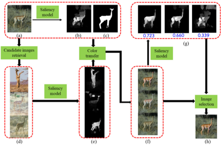 Snapshot for paper